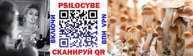 Псилоцибиновые грибы GOLDEN TEACHER Красково